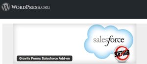 We Use PHP, JavaScript, HTML & CSS to customize WordPress to SalesForce Lead Forms